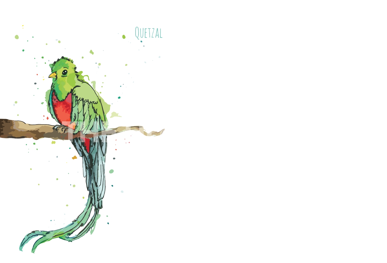 1330x904 Watercolor Food Vegetables Fruits And Fish Vector By Dashikka