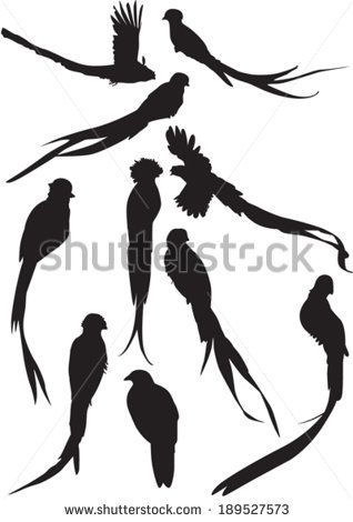 318x470 Quetzal Silhouettes