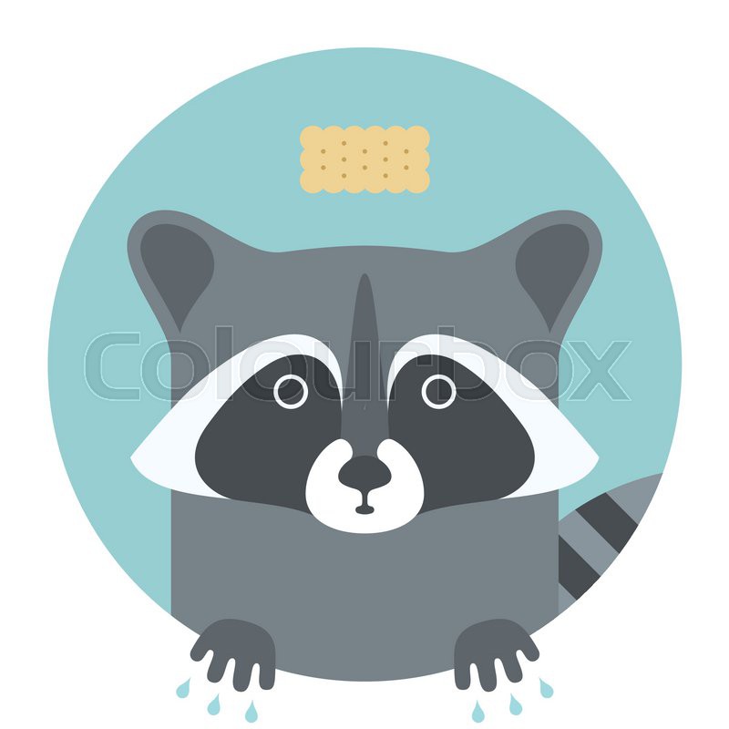 Raccoon Vector