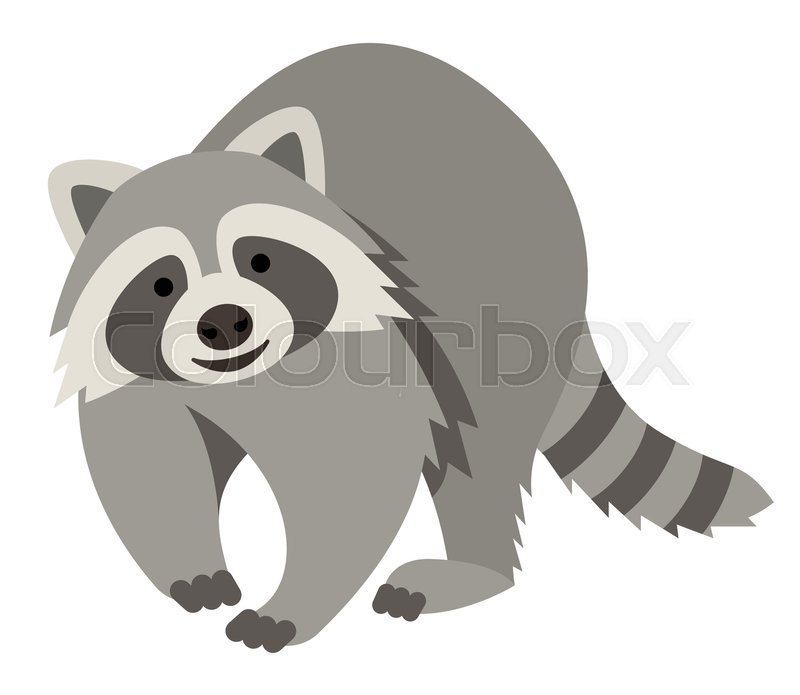 800x695 Cute Smiling Raccoon Vector Cartoon Illustration. Wild Zoo Animal