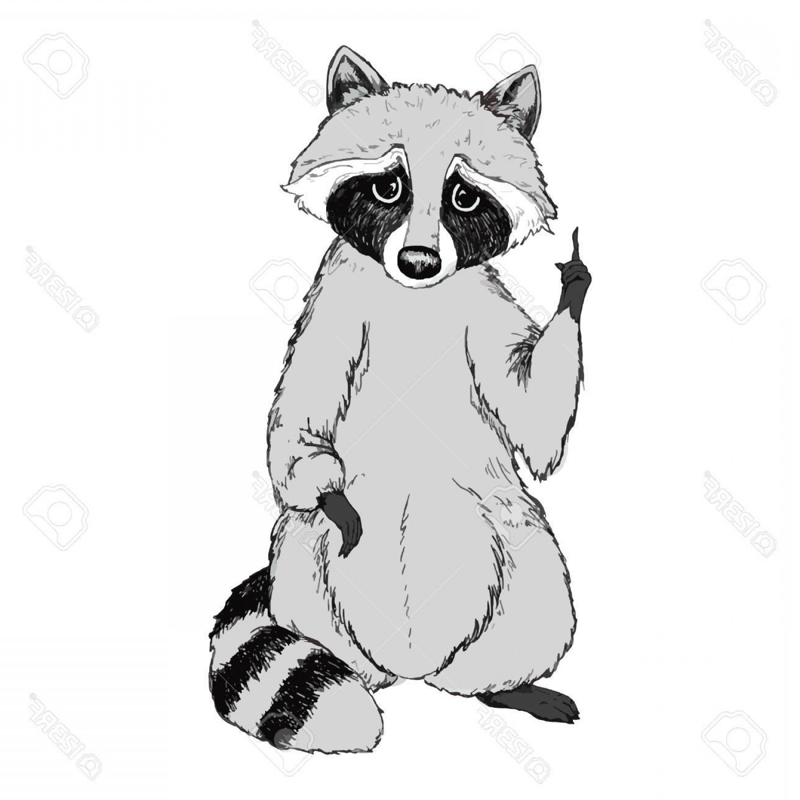 1560x1560 Photostock Vector Cute Raccoon Vector Illustration Rongholland