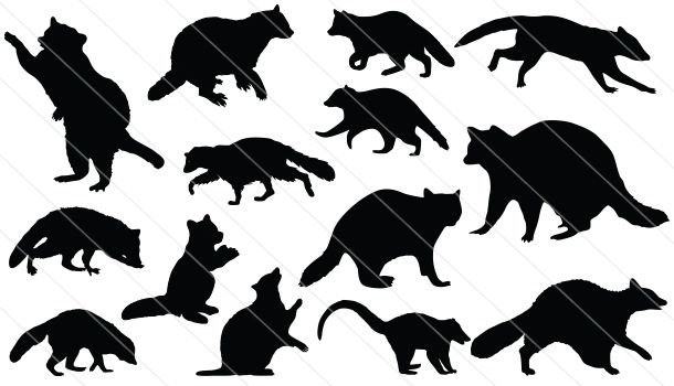 610x350 Raccoon Vector Graphics (14) Silhouette Clip Art