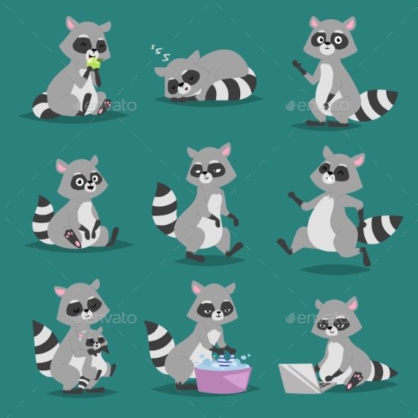 590x590 Raccoon Vector Illustration Cartoon Set By Vectorssstocker