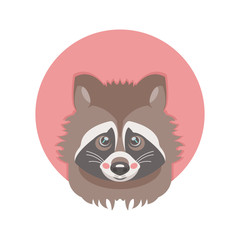 240x240 Search Photos Raccoon Vector