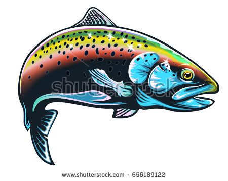 Rainbow Trout Vector at GetDrawings | Free download