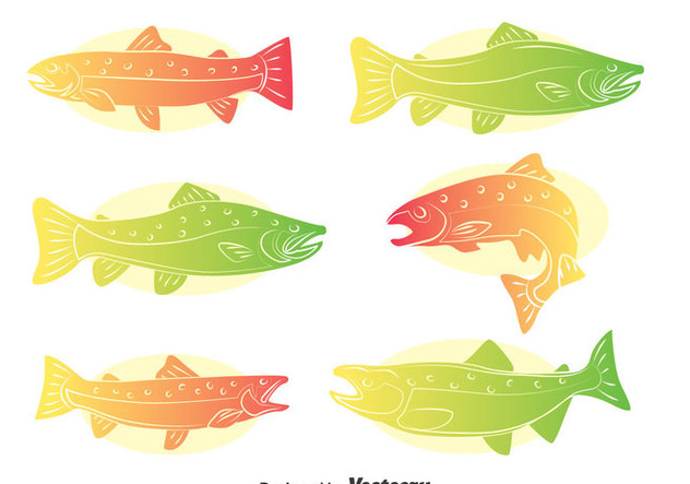 632x443 Rainbow Trout Vector Set Free Vector Download 401257 Cannypic