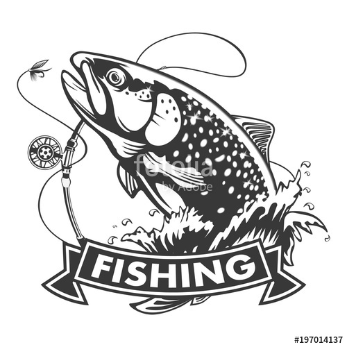 Rainbow Trout Vector at GetDrawings | Free download