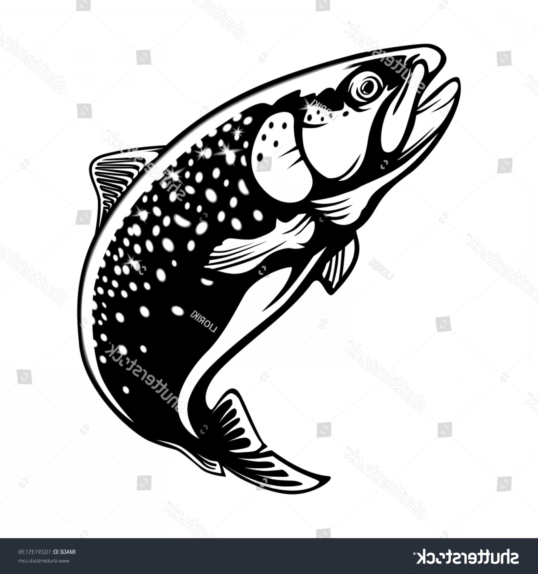 Rainbow Trout Vector at GetDrawings | Free download