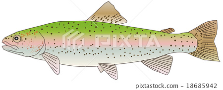 450x182 Vector, Vectors, Rainbow Trout