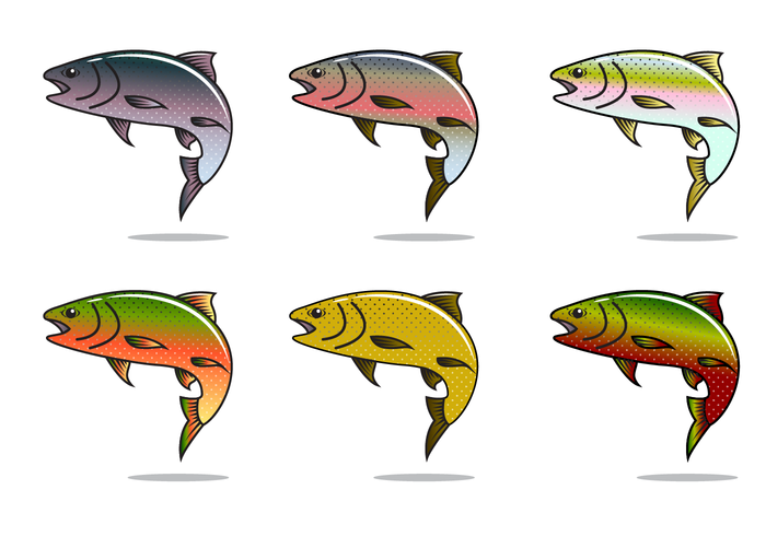 700x490 Free Rainbow Trout Vector