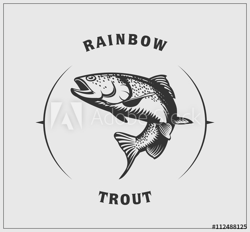 500x465 Illustration Of Rainbow Trout.
