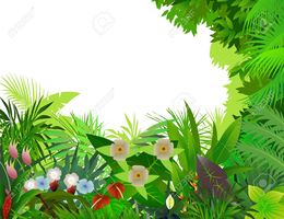 260x200 Download Free Rainforest Vector Clipart Tropical Rainforest Clip Art