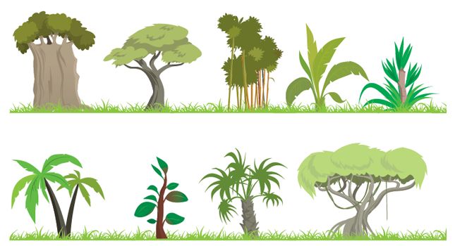 645x350 Grass Clipart Rainforest