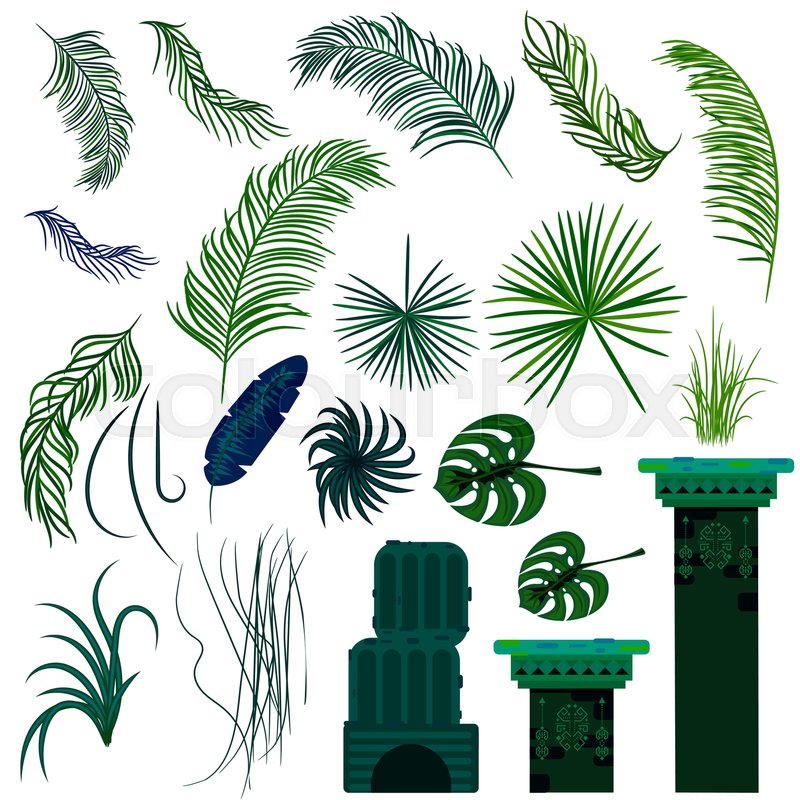 800x800 Jungle Leaves And Old Ruin Columns Isolated Objects. Rainforest