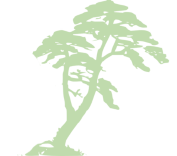 600x530 Jungle Vector