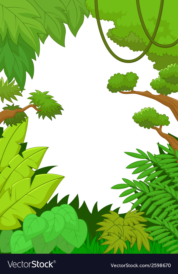 704x1080 Rainforest Clipart Vector