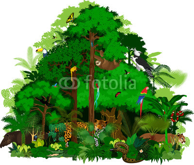 400x342 Rainforest Vector Illustration. Vector Green Tropical Forest