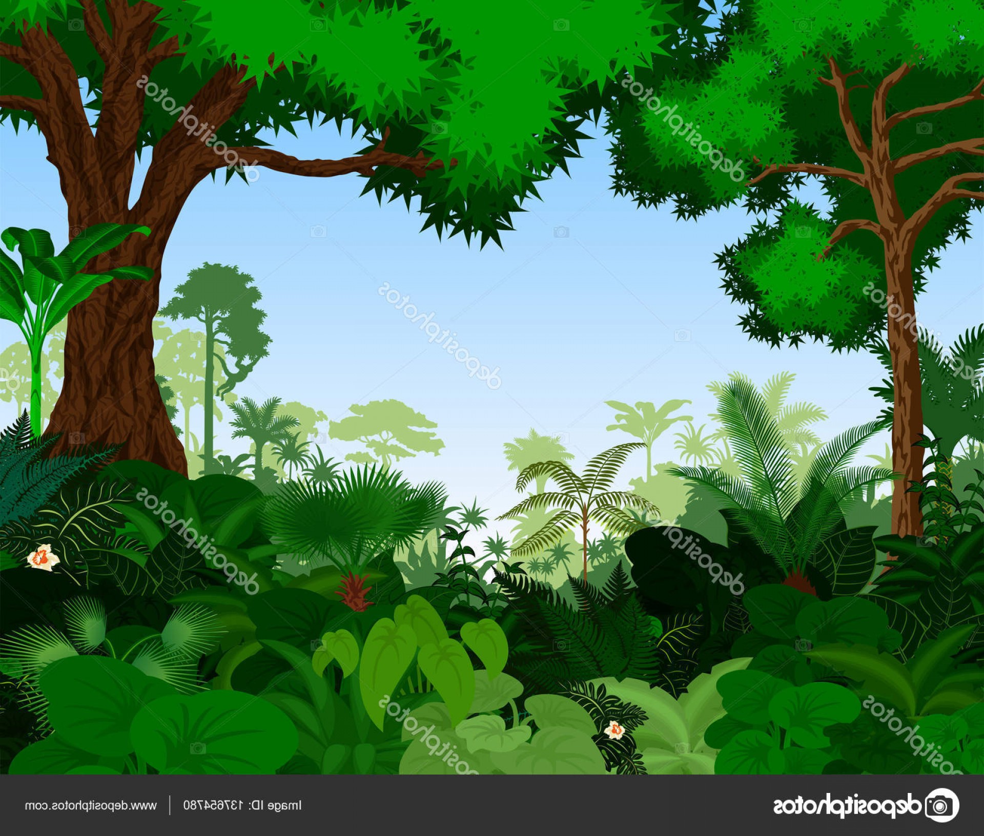 1920x1632 Stock Illustration Rainforest Vector Illustration Vector Tropical
