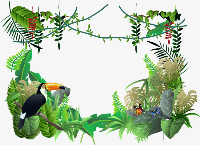 650x470 The Amazon Rainforest, Forest, Rainforest, Amazon Png And Vector