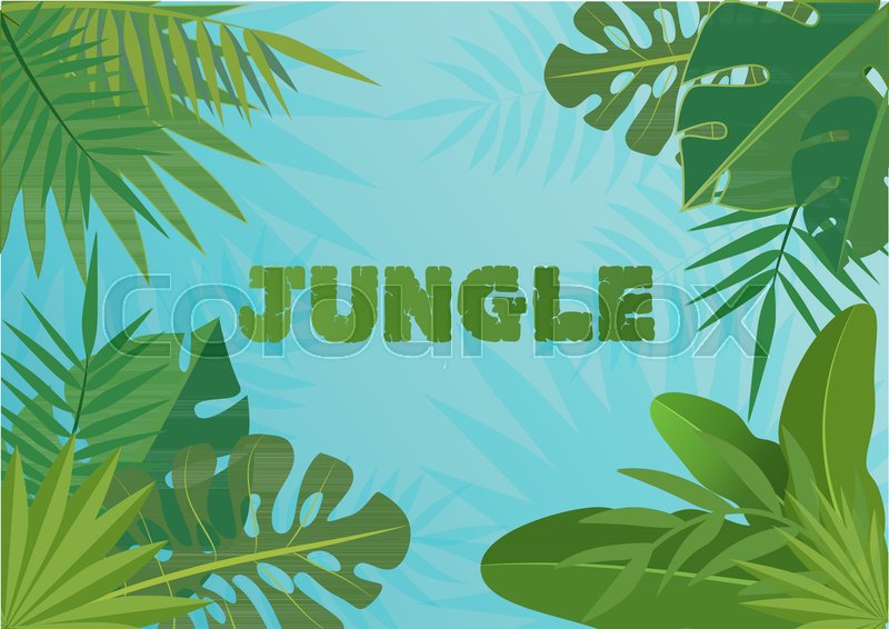 800x566 Tropical Vector Template Banner Illustration. Exotic Plants On