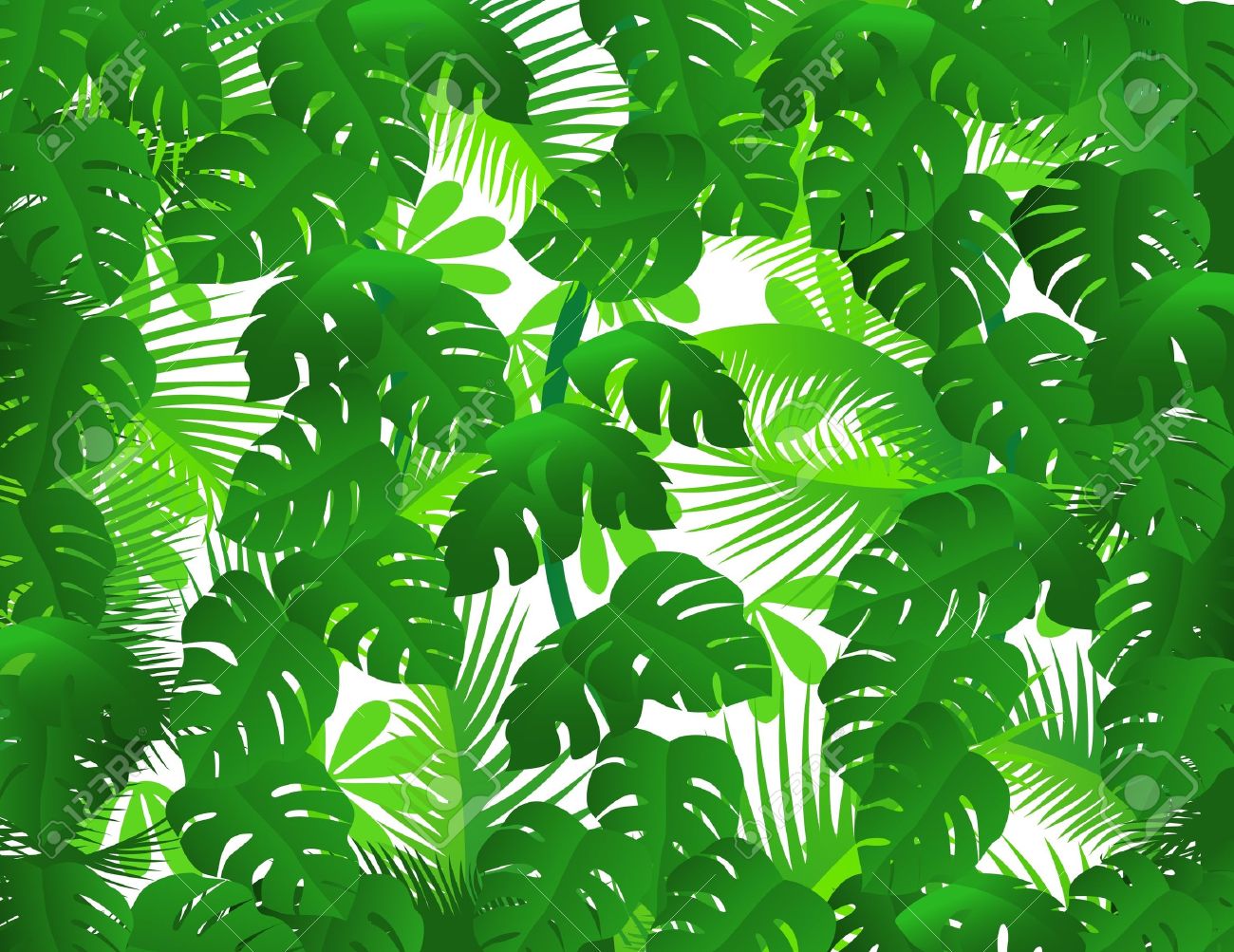1300x1003 Collection Of Tropical Rainforest Background Clipart High