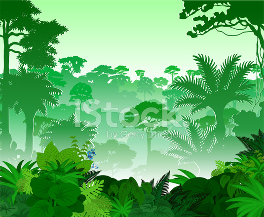 535x440 Vector Tropical Rainforest Jungle Stock Vector