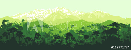 500x191 Vector Horizontal Seamless Tropical Rainforest Jungle With
