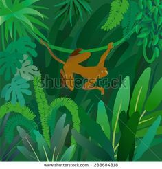 236x246 A Vector Illustration Of The Rainforest With An Orchid, Dragonfly