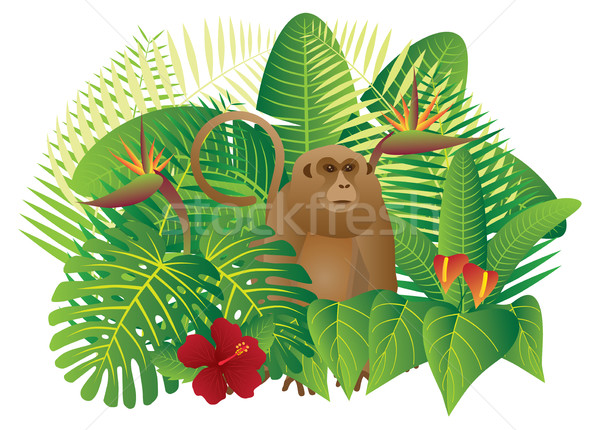 600x430 Amazon Rainforest Stock Vectors, Illustrations And Cliparts