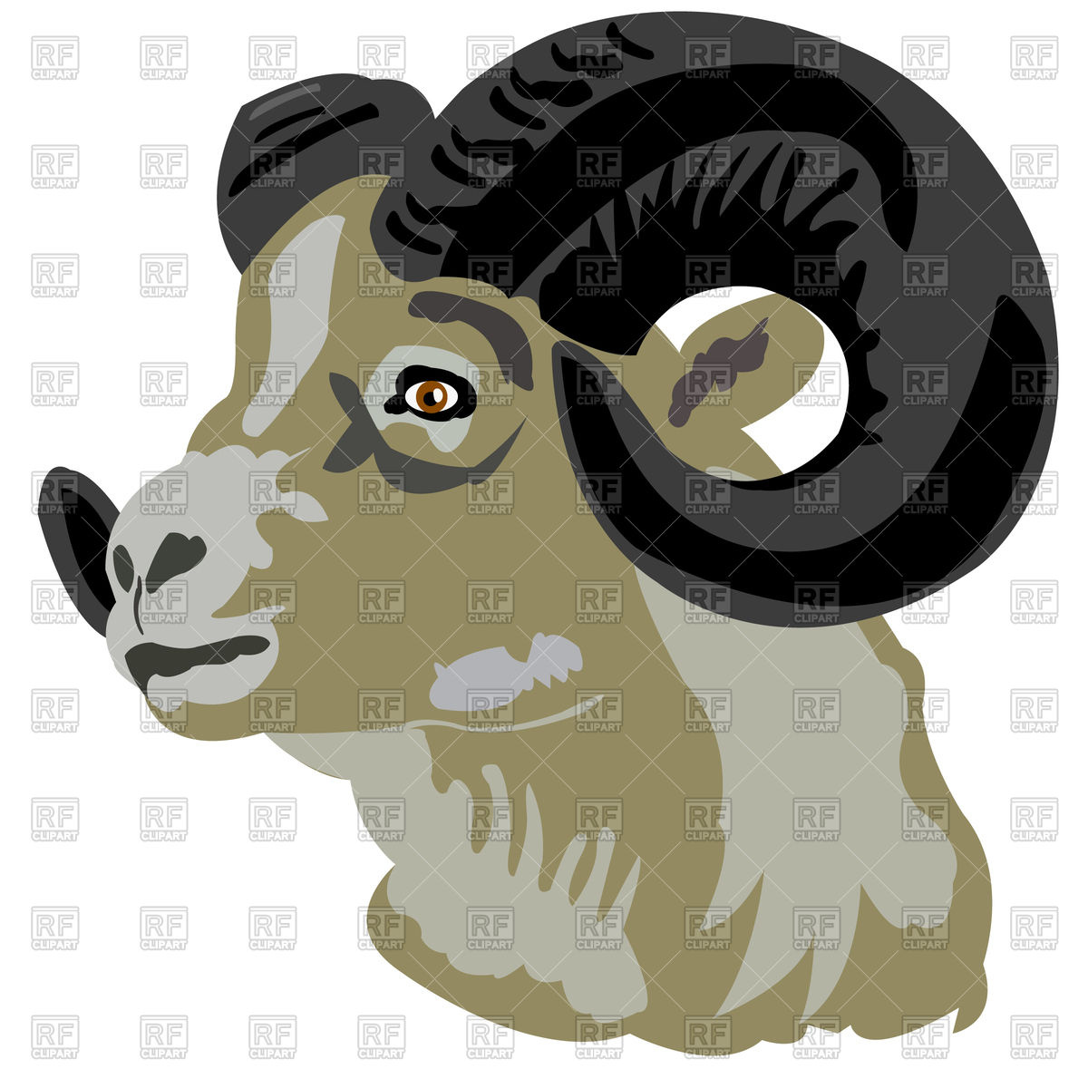 1200x1200 Portrait Of Mountain Ram Free Vector Image Vector Artwork Of
