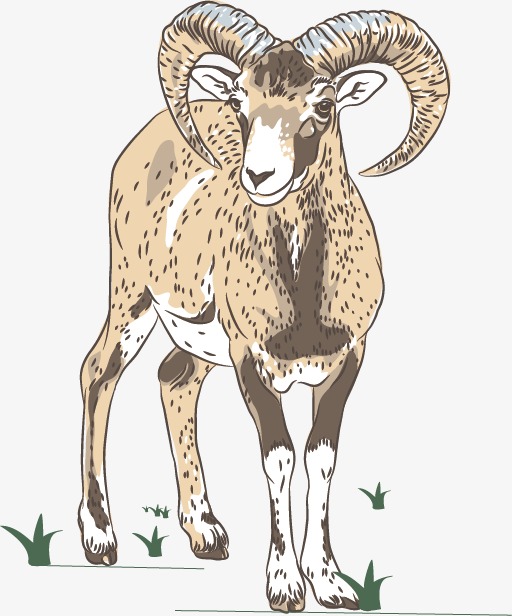 512x616 Printing Vector, Goat, Animal, Ram Png And Vector For Free Download