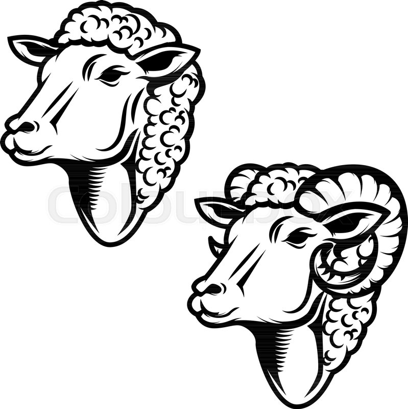 799x800 Set Of Sheep Head Illustration. Ram Head. Design Element For Logo