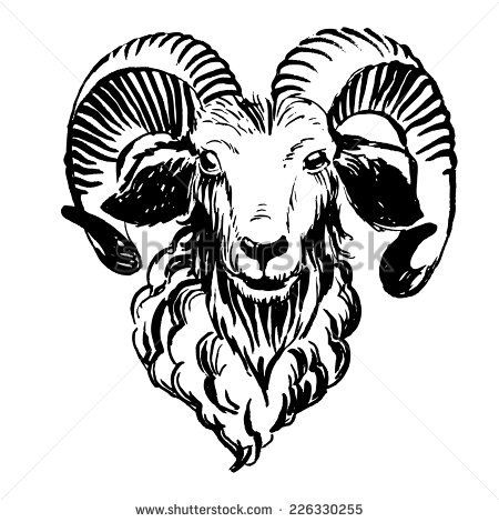 450x470 Vector Illustration Marker Hand Drawn Farm Animals Ram (Sheep