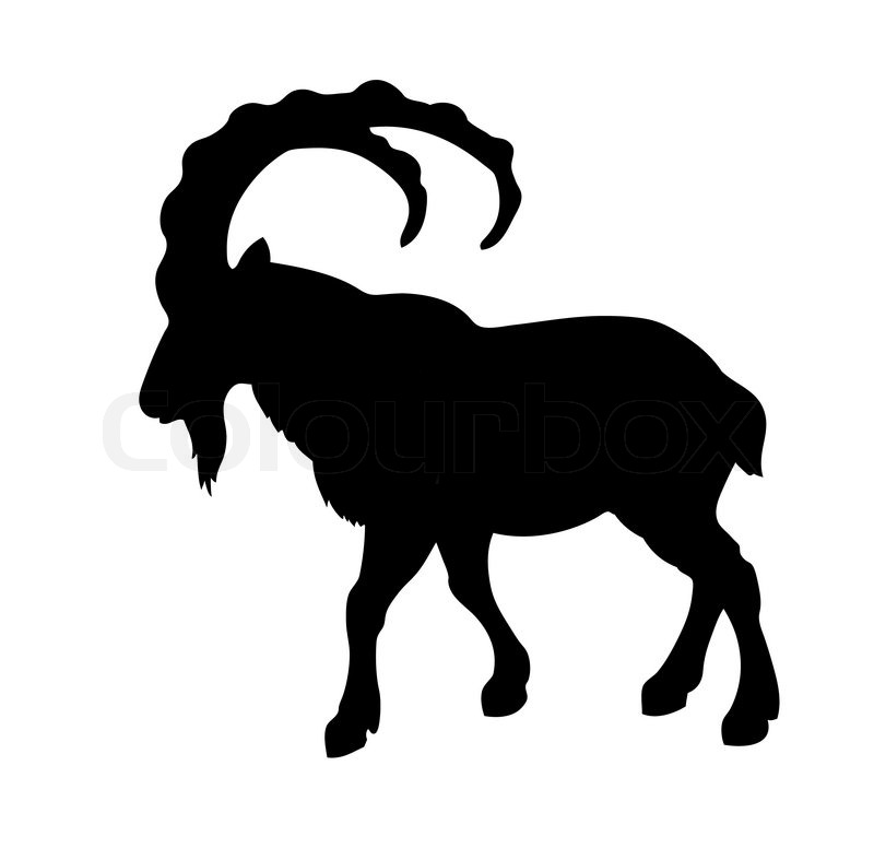 800x787 Vector Silhouette Mountain Ram On White Background Stock Vector
