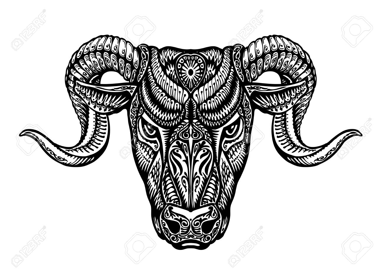 1300x949 Drawn Head Ram 3345617