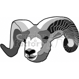 300x300 Royalty Free Black And White Ram Head 129025 Vector Clip Art Image