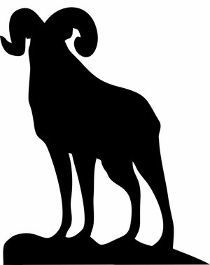 300x379 Dall Sheep Clipart Ram Horn