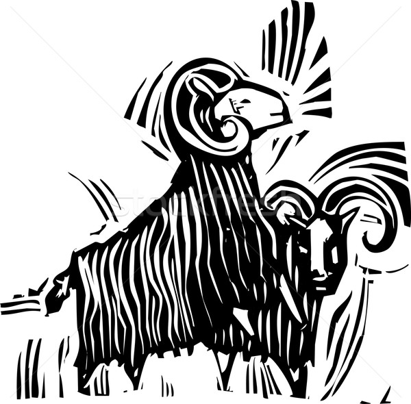 600x590 Rams Horn Stock Photos, Stock Images And Vectors Stockfresh