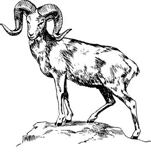 294x299 19 Vector Sheep Horns Huge Freebie! Download For Powerpoint