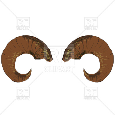 400x400 Animal Ram Of Goat Horns Isolated On White Background Vector Image