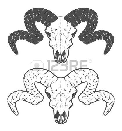 420x450 Bighorn Sheep Clipart Skull
