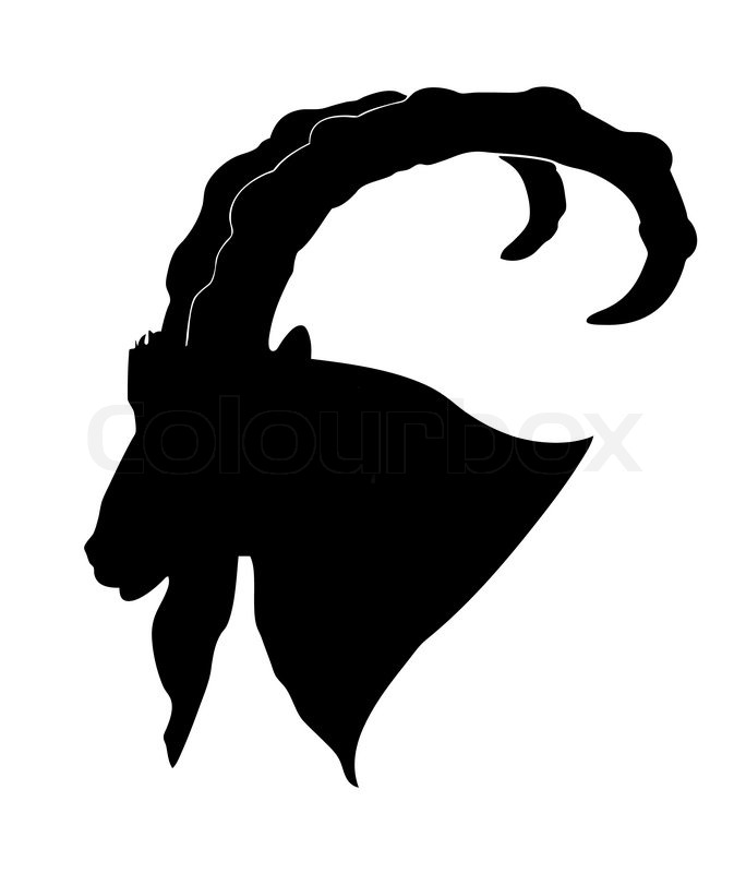 684x800 Vector Silhouette Of The Mountain Ram On White Background Stock
