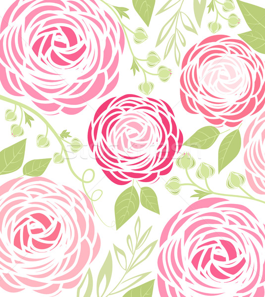 535x600 Ranunculus Vector Stock Photos, Stock Images And Vectors Stockfresh