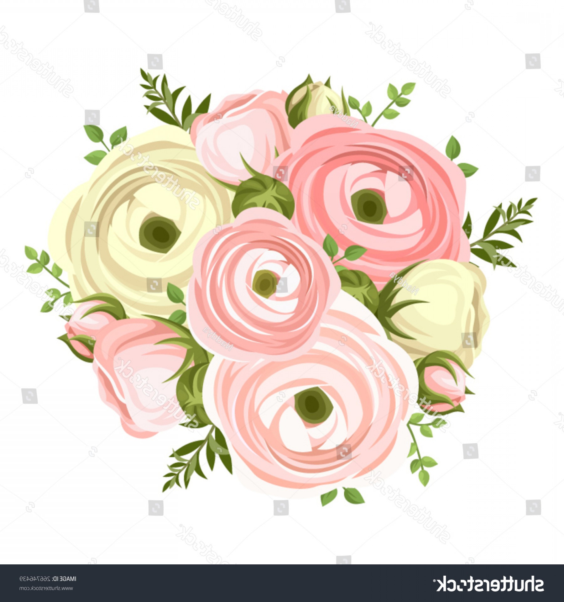 1800x1920 Vector Bouquet Pink White Ranunculus Flowers Shopatcloth