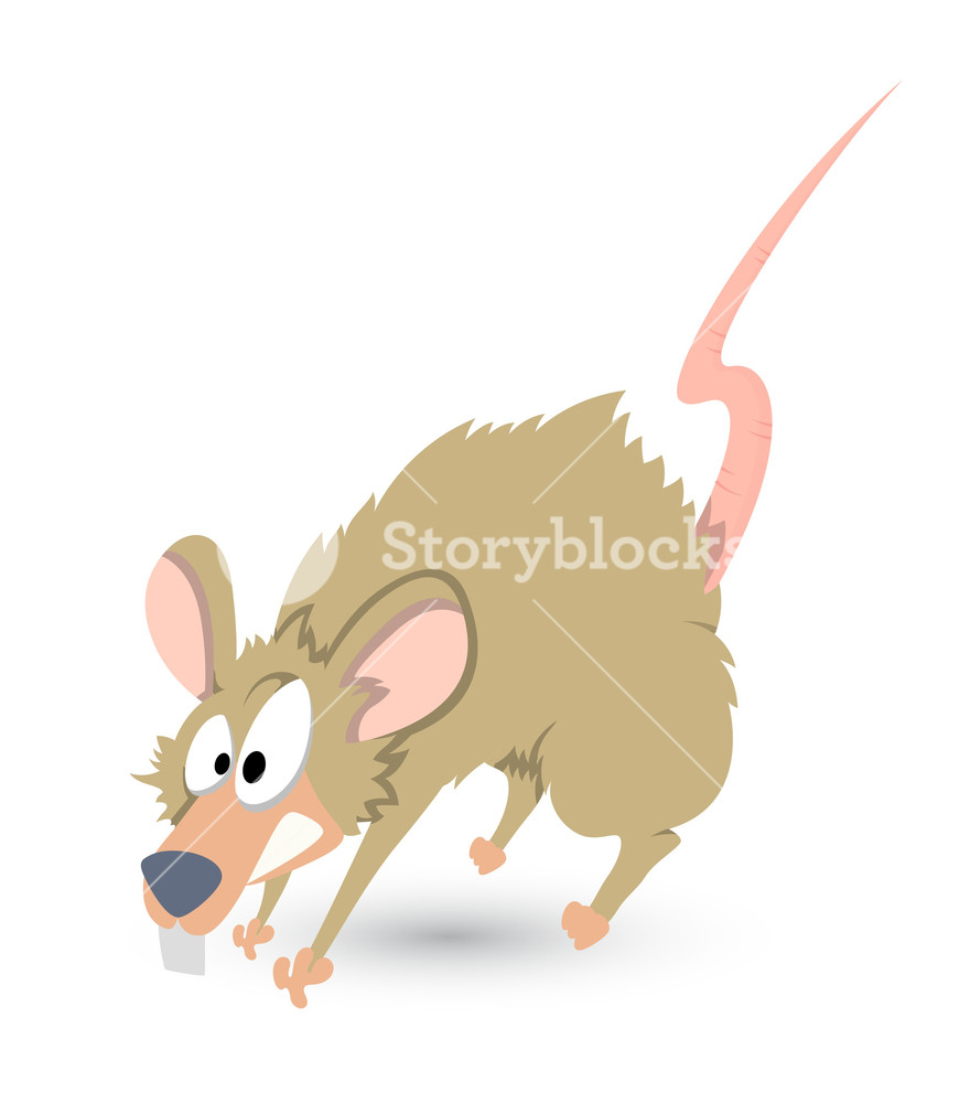 880x1000 Funny Rat Vector Royalty Free Stock Image