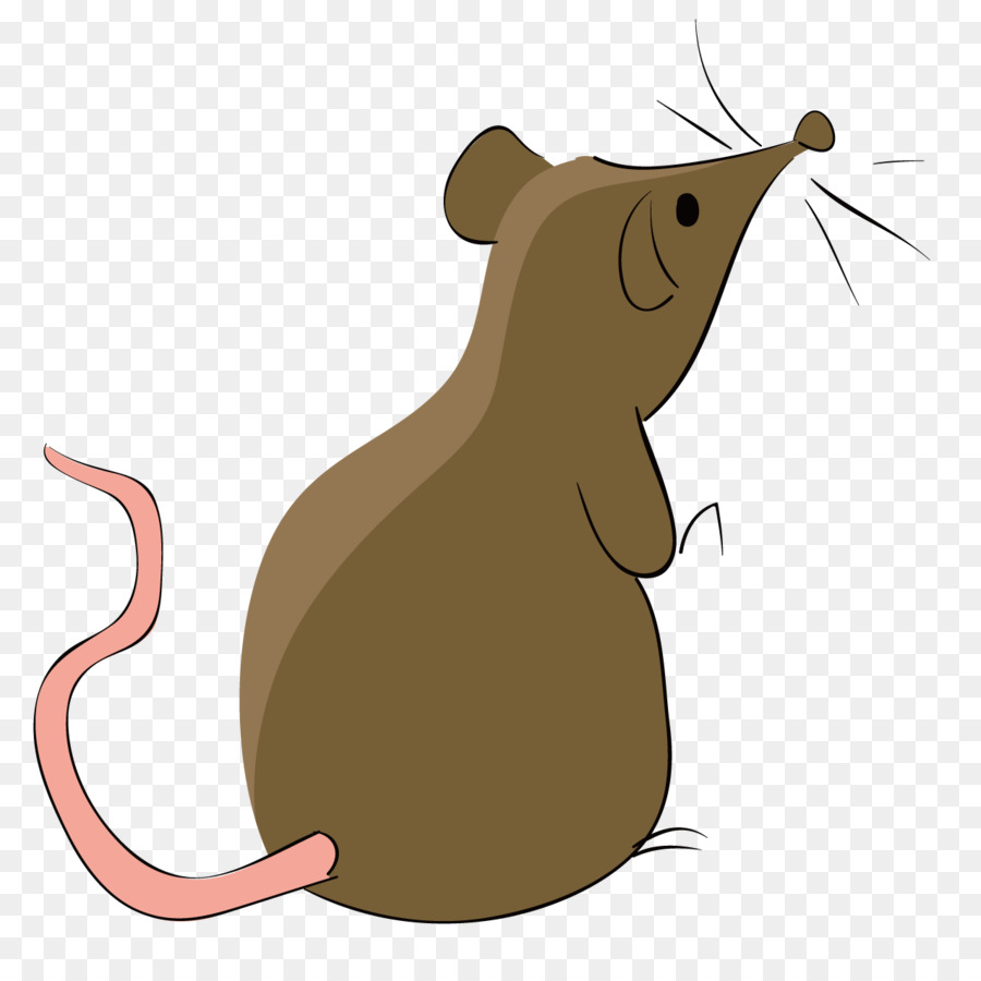 900x900 Rat Computer Mouse Euclidean Vector