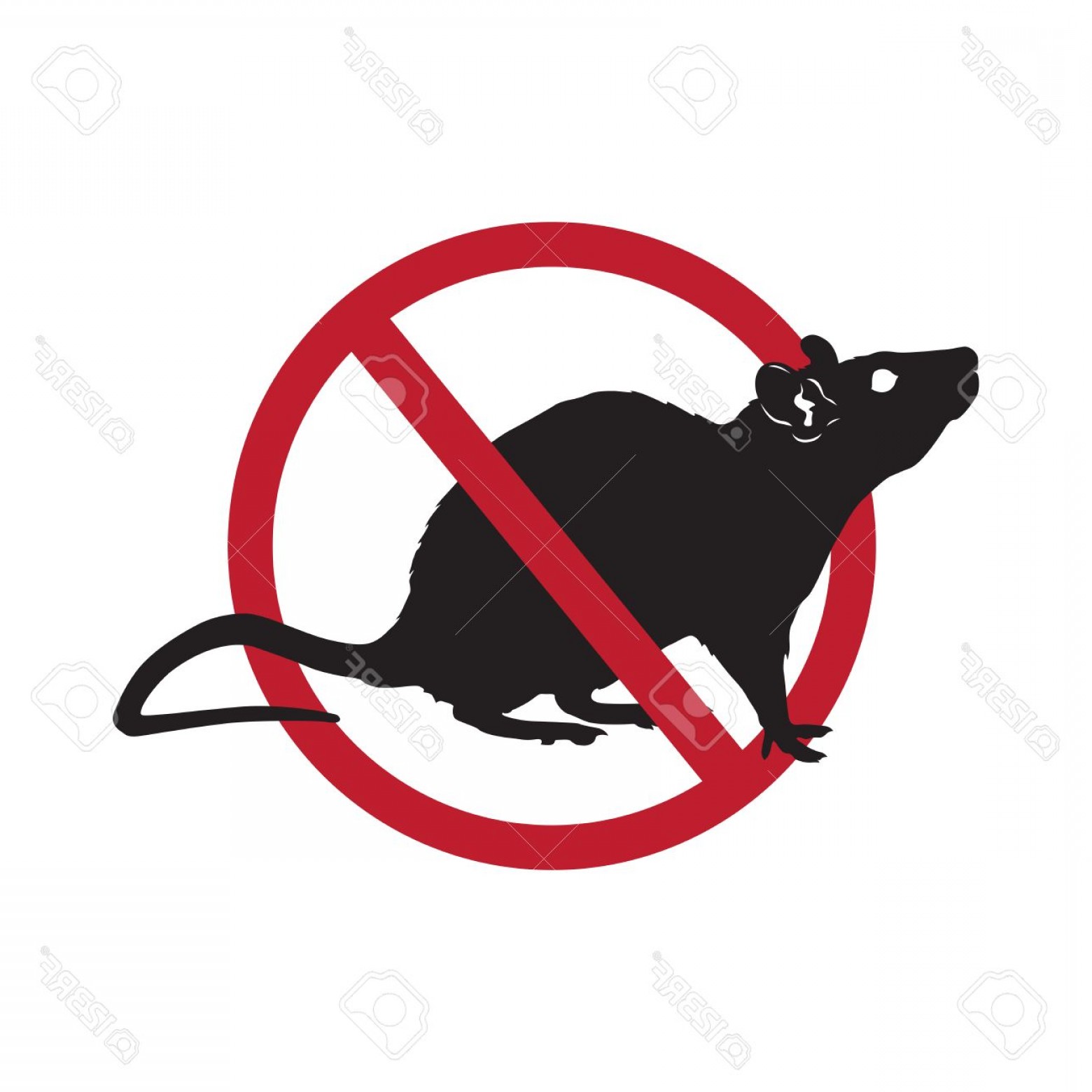 1560x1560 Rat Vector Icon Lazttweet