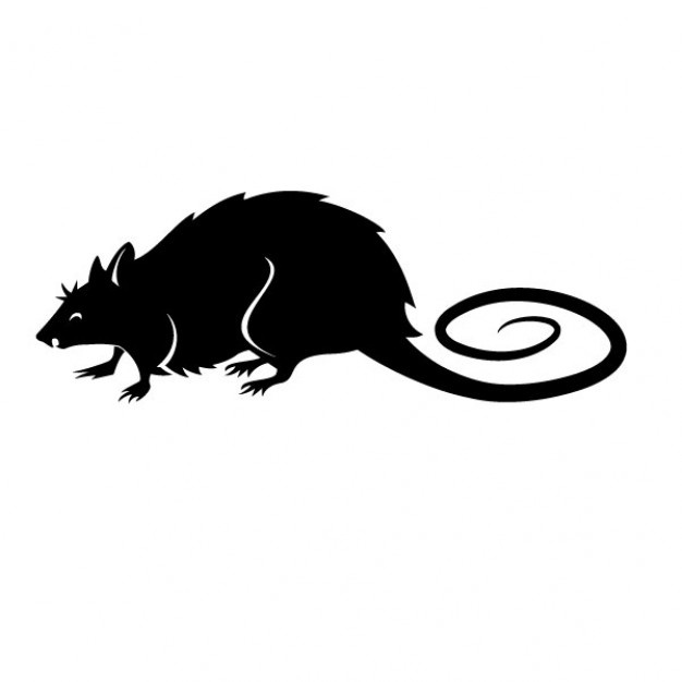 626x626 Rat Vector Vectors, Photos And Psd Files Free Download