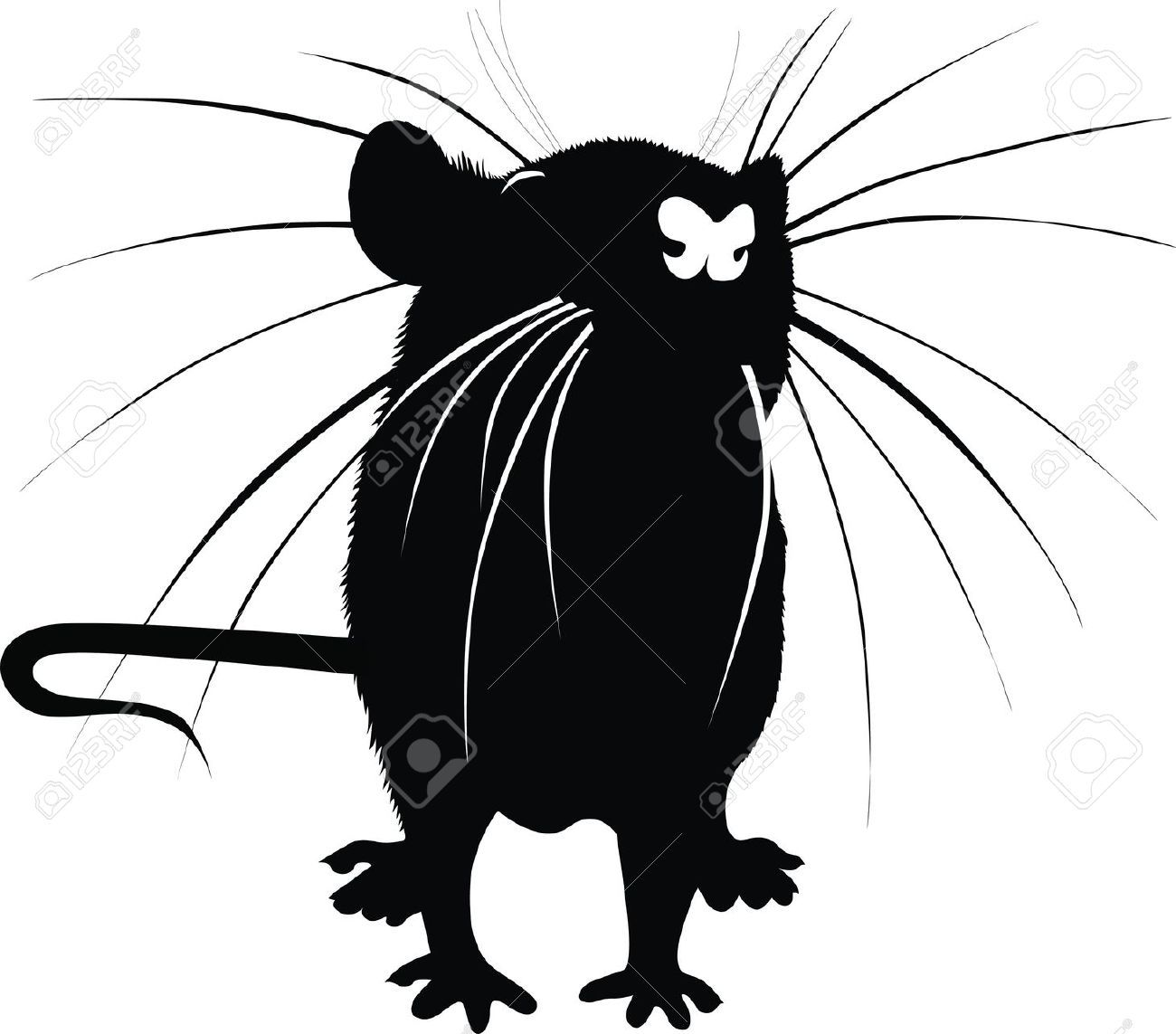 1300x1143 Rat Vector Image