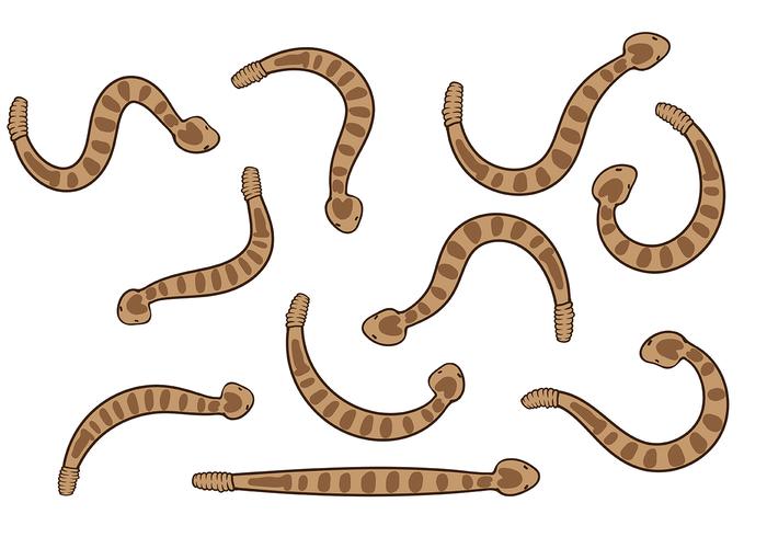 700x490 Rattlesnake Vector
